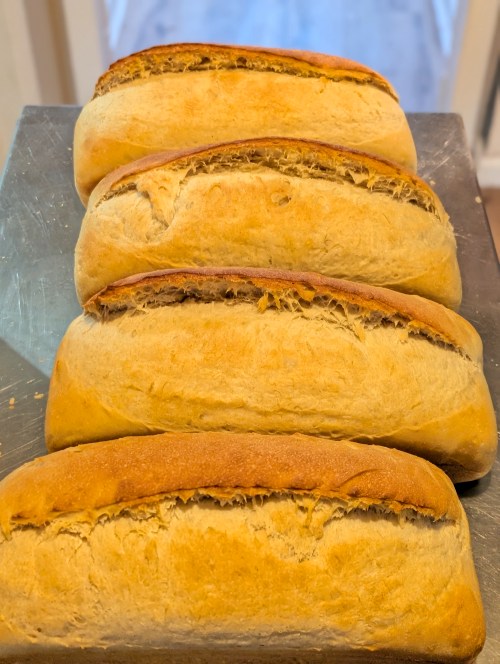 Sourdough Bread - Whole Wheat Long