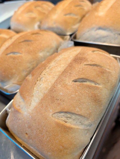 Sourdough Bread - White Regular