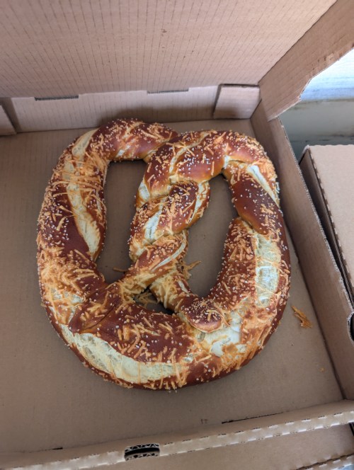Giant Salted Pretzel